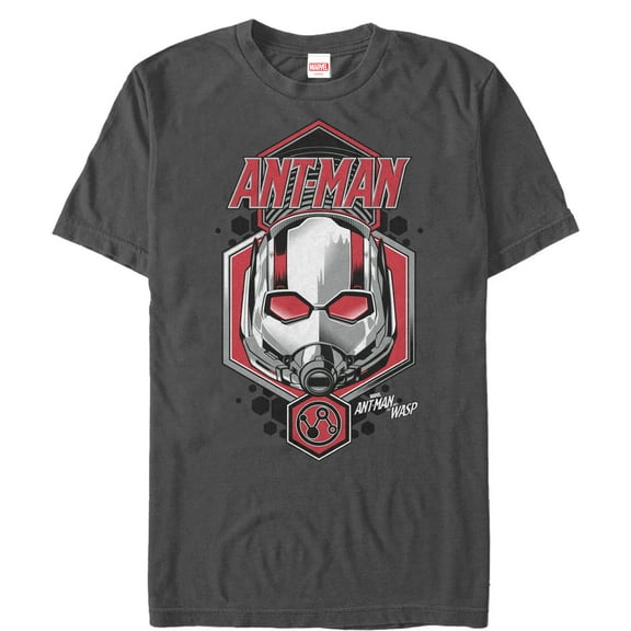 Men's Marvel Ant-Man and the Wasp Particles  Graphic Tee Charcoal X Large