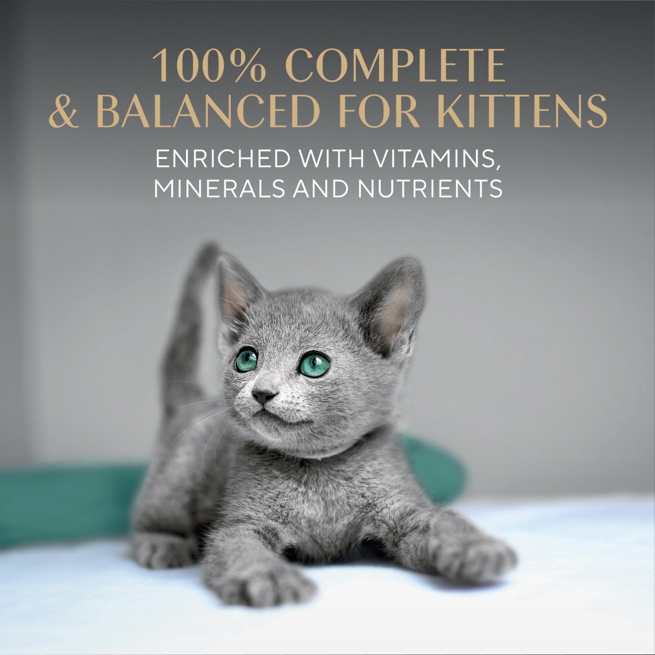 Sheba Perfect Portions Kitten Chicken & Salmon Variety photo 5