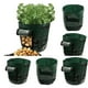 thumbnail image 1 of Bolsas de Cultivo de Papa CUTICAT de 5 Galones, 1 of 8