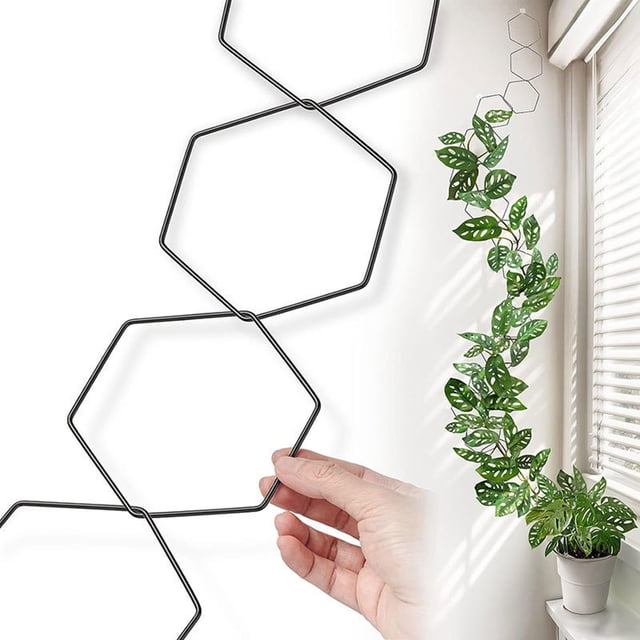 Climbing Frame for Plants, Hexagonal Iron Trellis for Vertical Plant Support, Adjustable Flower Frame for Climbing Plants, Pothos, Ivy, Roses, Garden Trellis with Durable Metal Construction