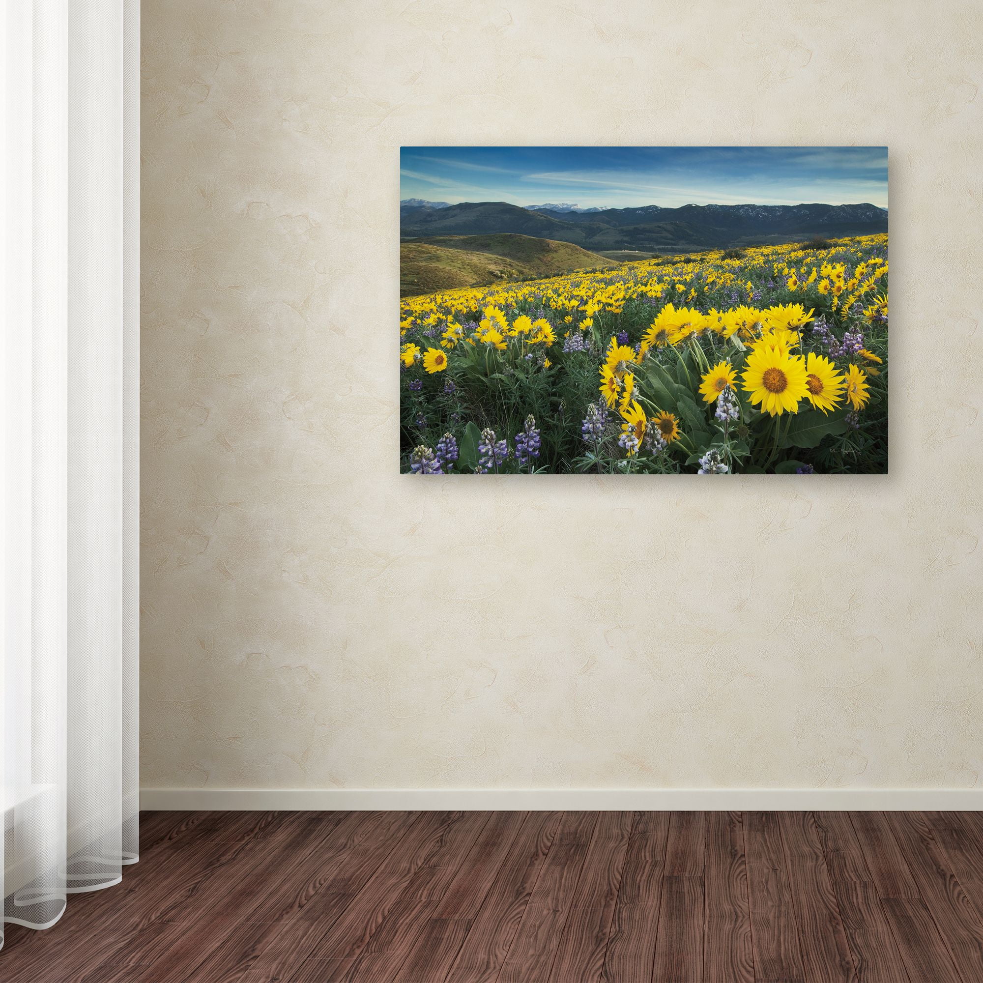 Trademark Fine Art 'Methow Valley Wildflowers IV' Canvas Art by Alan Majchrowicz