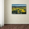 thumbnail image 3 of Trademark Fine Art 'Methow Valley Wildflowers IV' Canvas Art by Alan Majchrowicz, 3 of 3