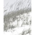 thumbnail image 2 of Chandler, Sharon 20x24 White Modern Wood Framed Museum Art Print Titled - Lush Dunes IV, 2 of 4