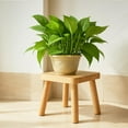 thumbnail image 6 of ​​BINGLI Small Wooden Stool 9.8''x9.2''x7.9'', Indoor Plant Stand Kids Step Stool Side Table for Kitchen Bathroom Bedroom Nursery, Solid Wood Multi Purpose Furniture​​, 6 of 9