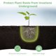 thumbnail image 3 of cestas protectoras para raíces de plantas, cestas de alambre de acero inoxidable de 10 x 9 pulgadas, protector de red de alambre de malla metálica para raíces de plantas, cestas para raíces de plantas, 3 of 7