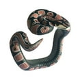 thumbnail image 1 of CNKOO Simulation PVC Cobra Snake Bracelet Prank Toy Party Supplies Halloween Gift, 1 of 11