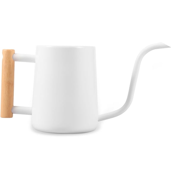 35oz/1L Watering Can Small Watering Can Indoor Plants with Wooden Handle Stainless Steel Watering Pot with Long Spout Garden Watering Cans Portable Watering Jug for Houseplant Office Potted Plants