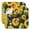 2 Pack Yello, variant on 2 Pack Yellow Bloom Drying Mats - Foldable Compact Kitchen Mat with Boho Sunflower Aesthetic