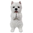 thumbnail image 2 of Playing Westie, 2 of 10