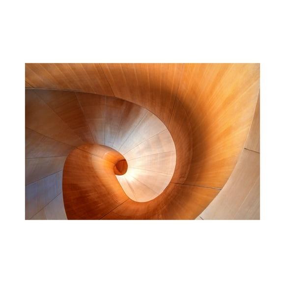 Canvas Wall Art - Louie Luo 'Elephant Nose' Wall Art for Living Room, Bedroom, or Office Décor by Trademark Fine Art - 19 x 12 Inches