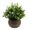 B, variant on Flower Pot Simulation Flower, Artificial Pot Flowers, Fake Plants, Small Fake Plants in Brown Plastic Pot, Mini Artificial Greenery Potted Plants for Home Decor, House Tabletop Decoration