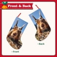 thumbnail image 2 of Sikiie Close-Up Curious Squirrel Christmas Stockings,18 Inches Christmas Stockings Xmas Hanging Stockings for Family Christmas Decorations & Gifts, 2 of 7