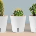 thumbnail image 3 of Mosiee Cotton Rope Creative Automatic Water-Absorbing Basin Plastic Lazy Vegetable Pot, 3 of 9