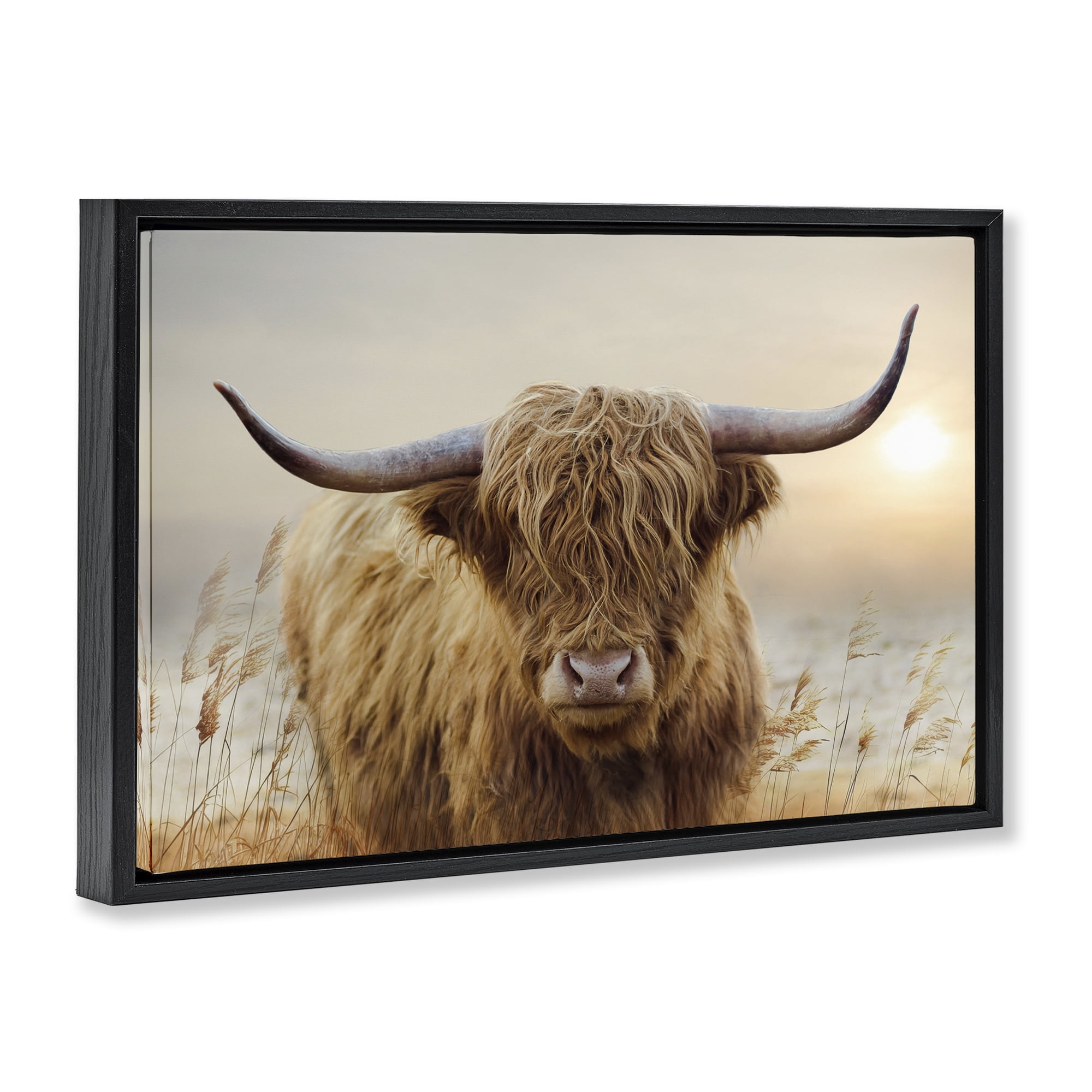 Stupell Industries Highland Cow & Warm Sunset Black Framed Floater Canvas Wall Art, design by CAD Designs