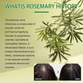 thumbnail image 3 of Rosemary Dense Hair Spray Moisturizes Hair Roots, Increases Elasticity, Restores Luster, Prevents Hair Loss From Solid Hair Spray, 3 of 5
