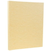 JAM Paper & Envelope Parchment Cardstock, 8.5 x 11, 50 per Pack, 65lb Gold Recycled