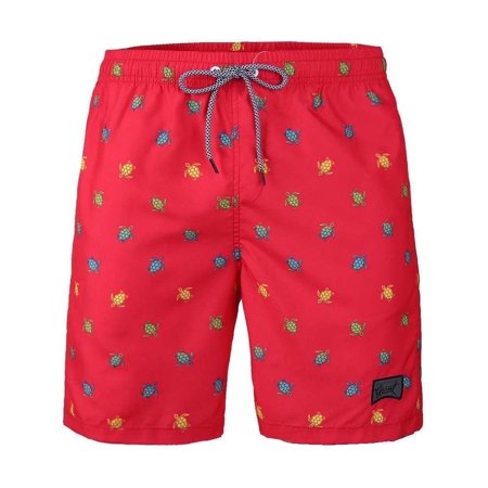 Beautiful Giant Boys Casual Swim Trunks Quick Dry Hawaii Style Swimwear Mesh liner Sizes 8-18