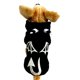 thumbnail image 3 of Sudadera luminosa Halloween Fantasma Patrón de Patrón de Perro Perro Trajes Trajes Cálido Sudadera Perro Ropa para Party Halloween Tamaño M N negro, 3 of 5