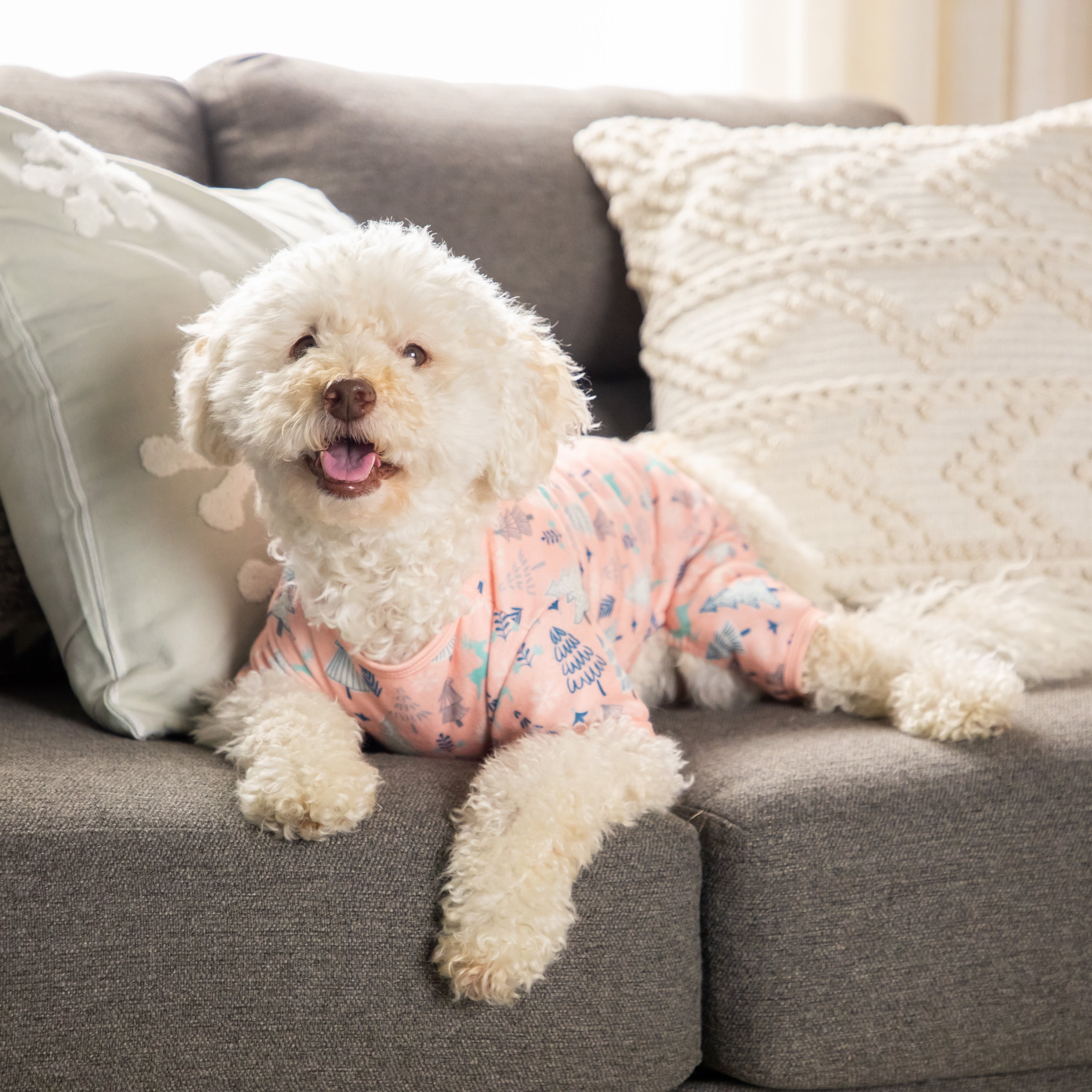 Vibrant Life, Dog Clothes, Novelty Print Pet Pajama, Pink, M
