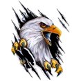 thumbnail image 1 of 3D Car Decoration Sticker,Animal Eagle Car Sticker Adhesive Vinyl Sticker Car Body Sticker Scratch Occlude Bumper Sticker,Right, 1 of 5