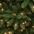 thumbnail image 3 of 10 ft. Artificial Pre-Lit Kingswood Fir Slim Christmas Tree, Green, Clear Lights, Includes Stand, 3 of 5