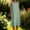 Green, variant on Midi Dresses For Women Sevevn Women's Summer Striped Sleeveless Dress Crew Neck Casual Beach Midi Dress Green S