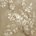 thumbnail image 3 of Nai, Danhui 20x20 Black Modern Framed Museum Art Print Titled - White Cherry Blossoms II Neutral Crop, 3 of 5