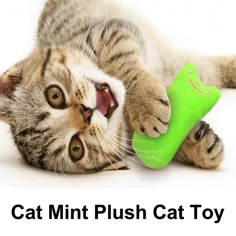 Teething cat toys hot sale