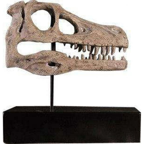 Raptor Dinosaur Skull Life Size Statue