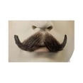 thumbnail image 1 of Morris Costumes LW467MBN M10 Moustache en Cheveux Humains, No 4 Brun Moyen, 1 of 1