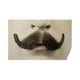 Morris Costumes LW467MBN Moustache pour Cheveux Humains M10, Brun Moyen No.4 – image 1 sur 1
