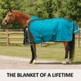 thumbnail image 2 of Schneiders ARMORFlex Pro Adjusta-Fit VTEK Turnout Blanket | Light Weight | Teal | 80, 2 of 6