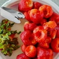 Fall Decorations Stainless Steel Strawberry Clip Strawberry Stem fall-decorations-stainless-steel-strawberry-clip-strawberry-stem
