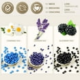 thumbnail image 4 of Lifestance Wax Beads 3 packs Sampler Kit, Hard Wax Beads (Lavender, Chamomile, Blackberry) for Hair Removal Whole Body, Bikini, Underarm, Legs, 4 of 6