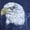Blue Cove Eagle, variant on Boxy Fit Heavyweight Graphic Tee Shirt, Men's XS-4XLT