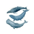 thumbnail image 2 of Price, Lucille 12x14 Black Ornate Wood Framed with Double Matting Museum Art Print Titled - Whale Trio, 2 of 4