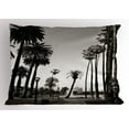 thumbnail image 1 of Palm Tree Pillow Sham Los Angles Downtown Park View Tropical Nature California American Landmark, Decorative Standard Queen Size Printed Pillowcase, 30 X 20 Inches, Dark Brown White, by Ambesonne, 1 of 2