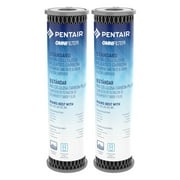 Pentair OMNIFilter TO3 10" Standard Whole House Non-Cellulose Pleated Carbon Sediment, Taste & Odor Water Filter - 2 Pack