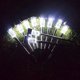thumbnail image 5 of Paquete de 10 luces solares con estaca para jardín, impermeables, para decoración de patios y jardines., 5 of 5