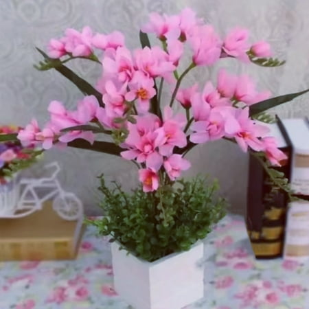 Tuberose Planting Bulbs,Attractive,Perennial Herbs,Ornamental Experience,Garden,Home Decoration(Hard-Resistant,Seedless,Non-Artificial)
