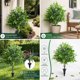 thumbnail image 4 of Plantas artificiales de Nandina con estaca para el suelo | Vegetación artificial para decoración de exteriores | Arbusto de plástico realista para jardín, patio, balcón, terraza y porche, 4 of 8