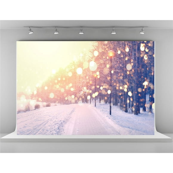 EREHome Polyester Fabric 7x5ft Sunshine Backgrounds for Photography Winter Frozen Snow Backdrops Photo Booth 7x5ft