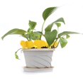 thumbnail image 4 of 100Pcs T-type Nursery Garden Plant Label Flower Thick Tag Mark(white ), 4 of 4