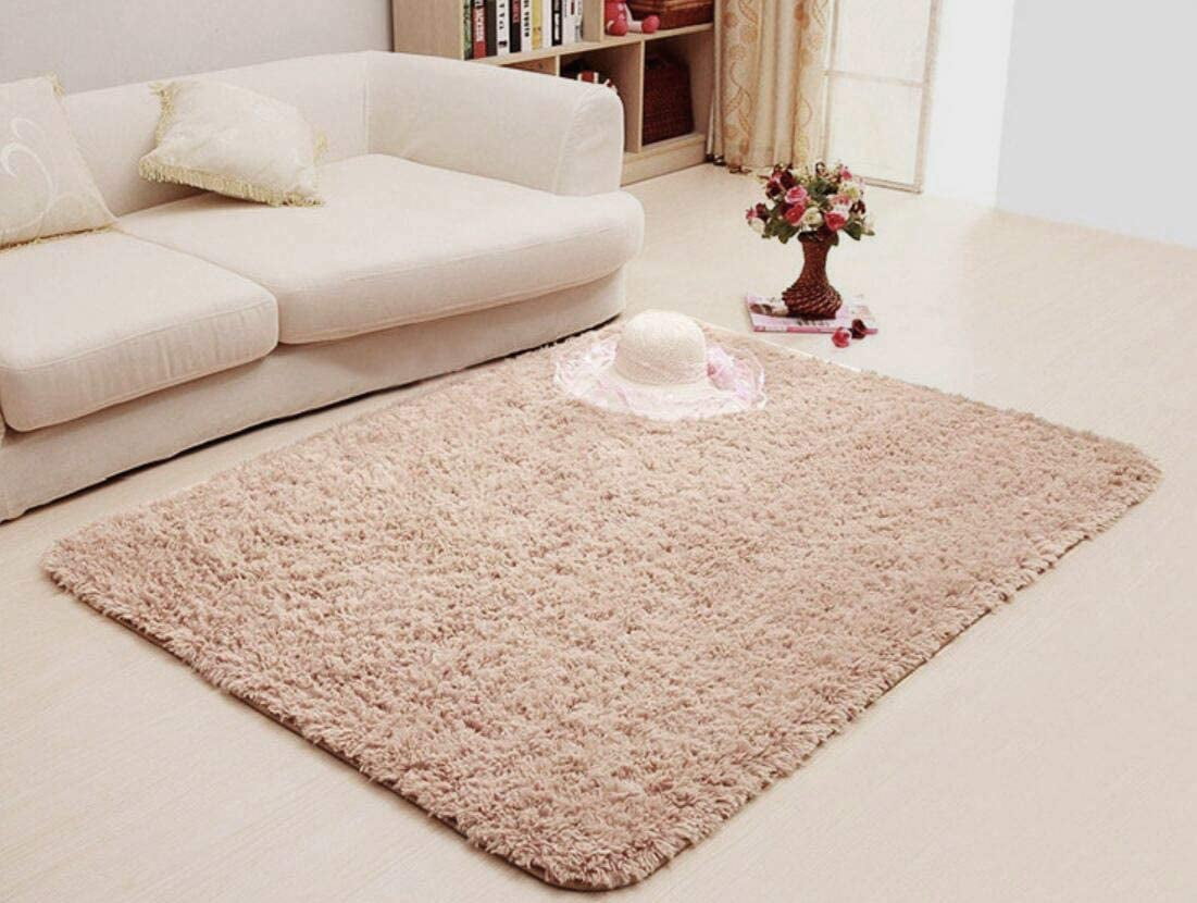 Super Soft Fluffy Nursery Rug for Kids Teens Room Comfy ...