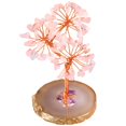 thumbnail image 1 of Bonsai natural Zulema Árbol del dinero Cristal Rosado, 1 of 8