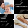thumbnail image 1 of SKISUNO Body Cleaning Brush Hair Care Comb for Daily Set, 1 of 8