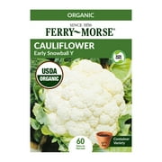 Ferry-Morse 44MG Cauliflower Snowball Y Vegetable Plant Seeds (1 Pack)- Seed Gardening, Full Sunlight
