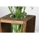 thumbnail image 4 of Terrario para plantas de escritorio: jarrones de suspendidos del que aportan la naturaleza a tu hogar u oficina, para, 4 of 9