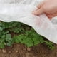 thumbnail image 4 of Xihbxyly Ofertas Por Tiempo Limitado Hoy Cubiertas de Tela No Tejida para Jardinería, Protección de Plantas, Manta Antiheladas, 4 of 7