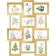 thumbnail image 1 of SONGMICS Collage de Marco de Fotos, 10 x 15 cm, Juego de 12, Pantalla Colgante, Requiere Montaje, Dorado Pálido, 1 of 5